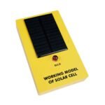 Working Model of Solar Cell